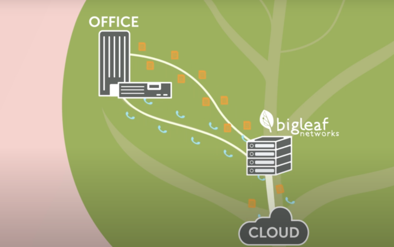 Illustration of how Bigleaf's network replicates the natural redundancy in a leaf.