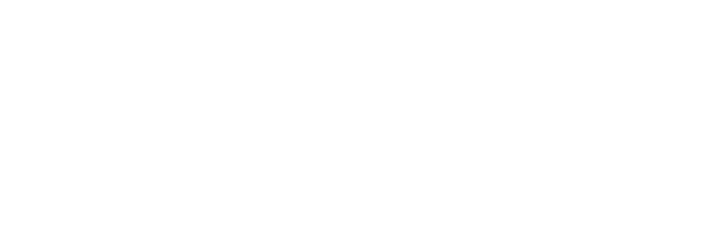 Big Leaf Networks