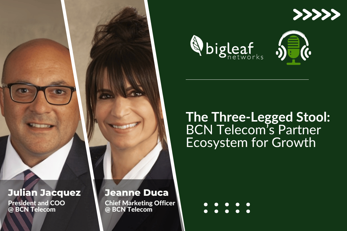 BCN Telecom’s Partner Ecosystem
