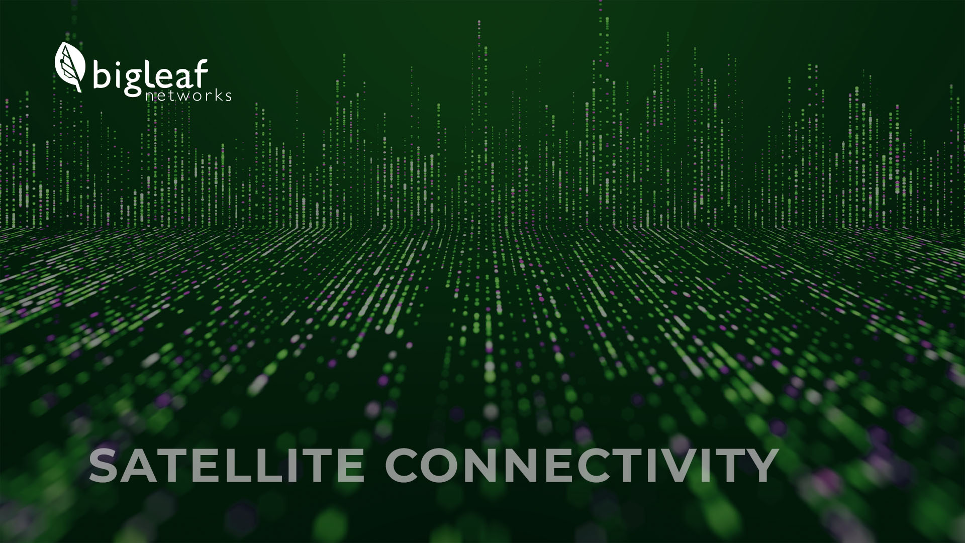 Taming Data Caps: How Bigleaf Keeps Starlink (and Others) Business ...