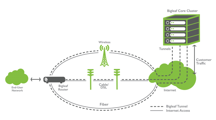 Graphs-01 Bigleaf Architecture